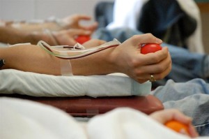 Доноры из Новоалтайска пополнили банк крови почти на 65 литров